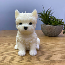 Load image into Gallery viewer, West Highland terrier dog candle, white in colour sitting down