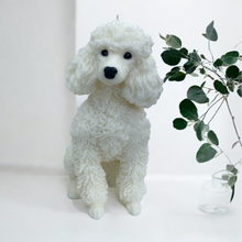Load image into Gallery viewer, Poodle Dog candle white in colour looks like a poodle.