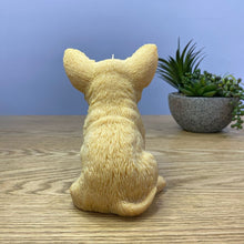 Load image into Gallery viewer, Chihuahua Tan Colour sitting  back facing