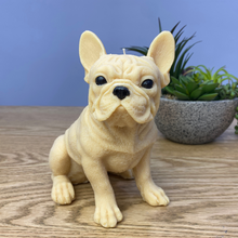 Load image into Gallery viewer, French bulldog candle, Tan in colour sitting down
