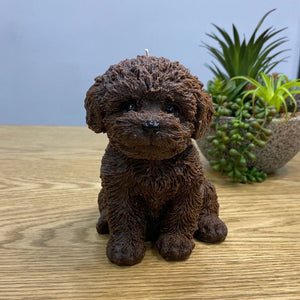 Oodle dog candle brown colour sitting facing forward