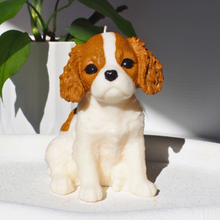 Load image into Gallery viewer, Cavalier King Charles Spaniel Dog Candle Blenheim Colour Sitting
