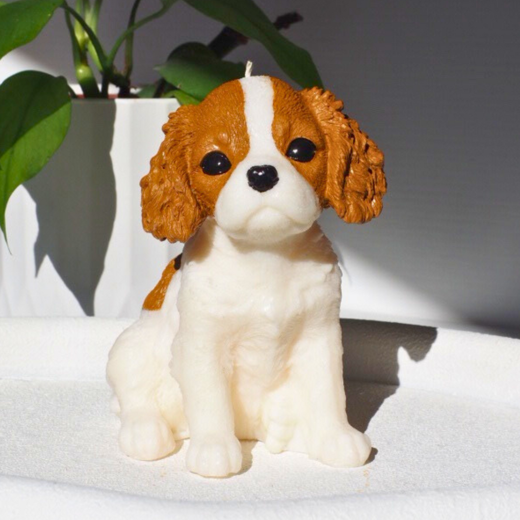 Cavalier King Charles Spaniel Dog Candle Blenheim Colour Sitting