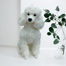 Load image into Gallery viewer, Poodle Dog candle white in colour looks like a poodle.
