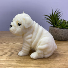 Load image into Gallery viewer, White bulldog puppy side view
