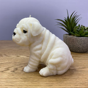 White bulldog puppy side view