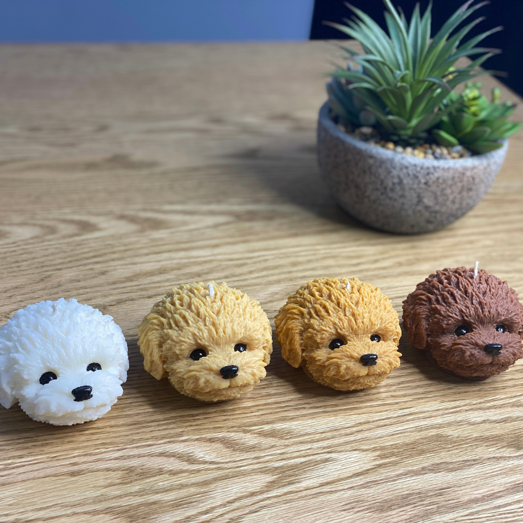 Little oodle dog head candles all lined up. Colours white, light tan, dark tan and brown.