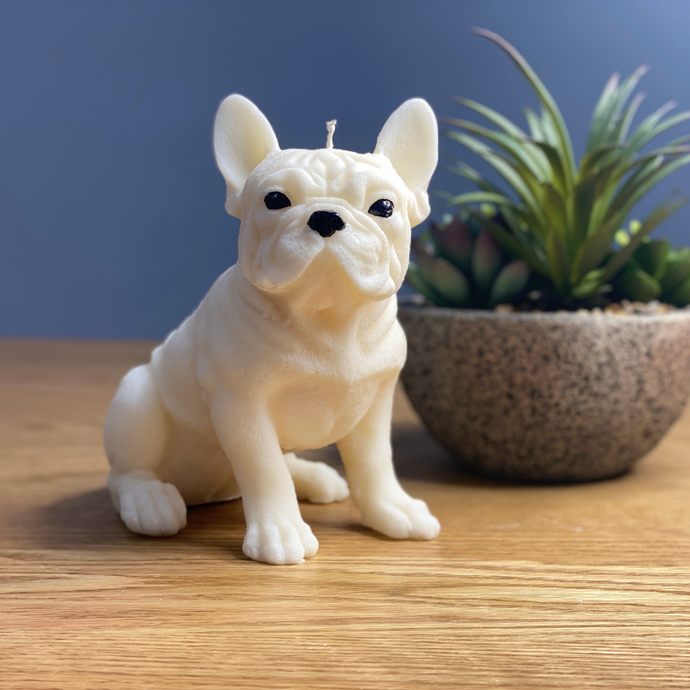 French bulldog candle, white in colour sitting down