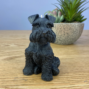 Frankie Schnauzer Dog Candle Black sitting down