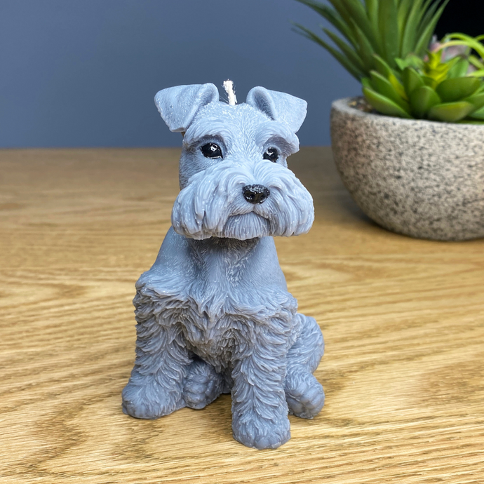 Light Grey Schnauzer Dog Candle sitting down 