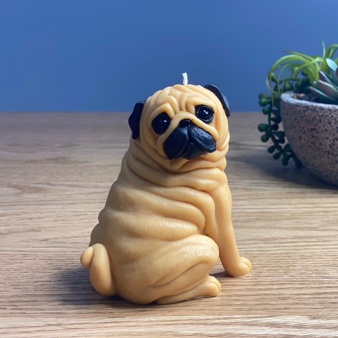 Pug Dog Candle Tan Colour sitting  forward facing